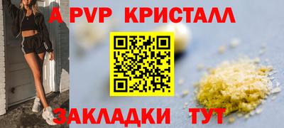 СК Будённовск