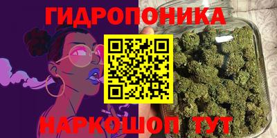 стаф Бузулук