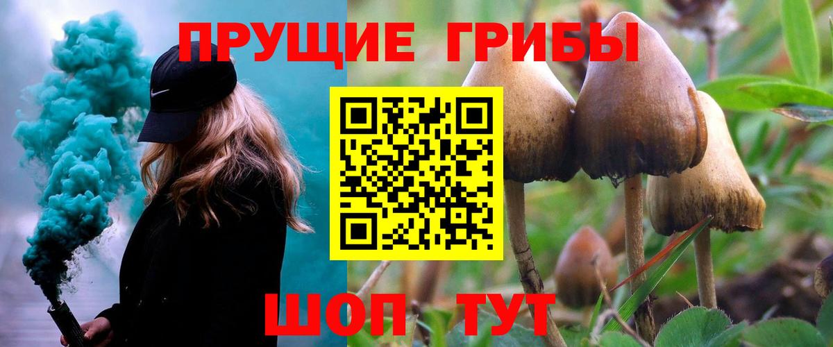 купить  цена  Псилоцибиновые грибы Psilocybe  Вход с VPN  Галлюциногенные грибы Psilocybe  Нефтеюганск 