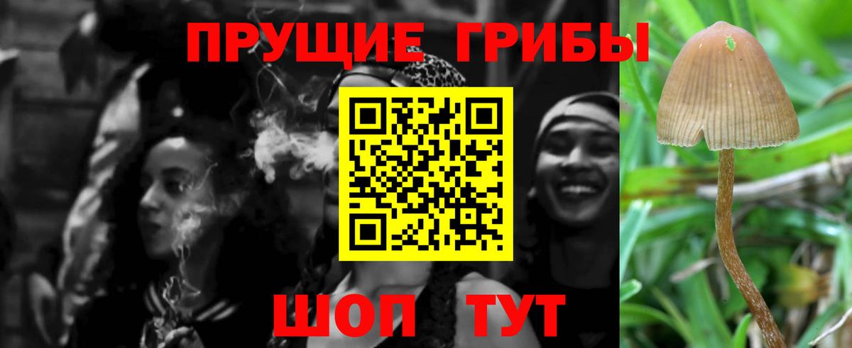 Галлюциногенные грибы Magic Shrooms Нефтеюганск